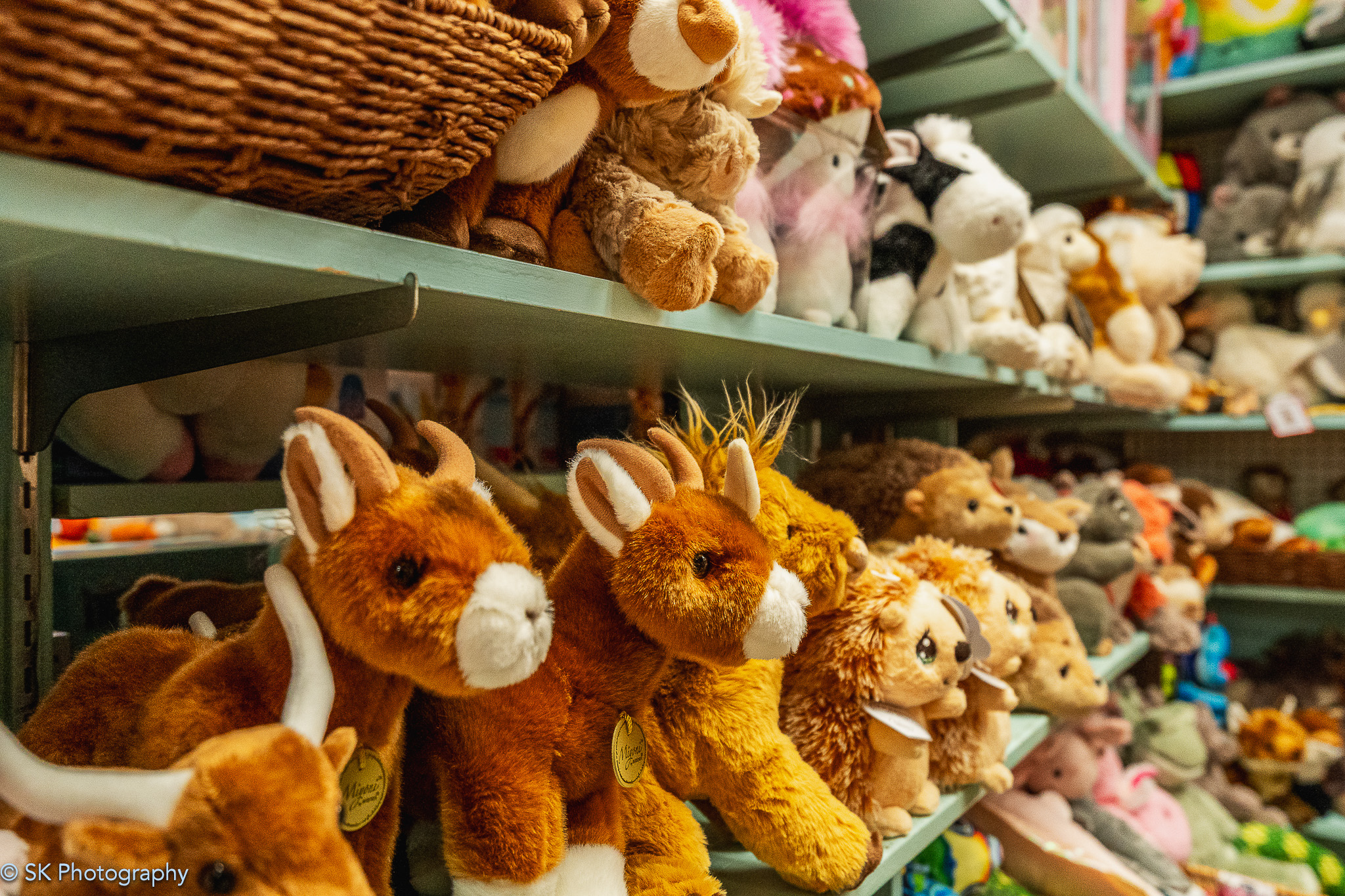 Commercial real estate and architectural photography in Chapel Hill, Durham, and Raleigh by Sokol Kokoshi